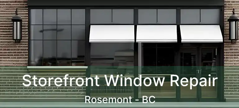  Storefront Window Repair Rosemont - BC