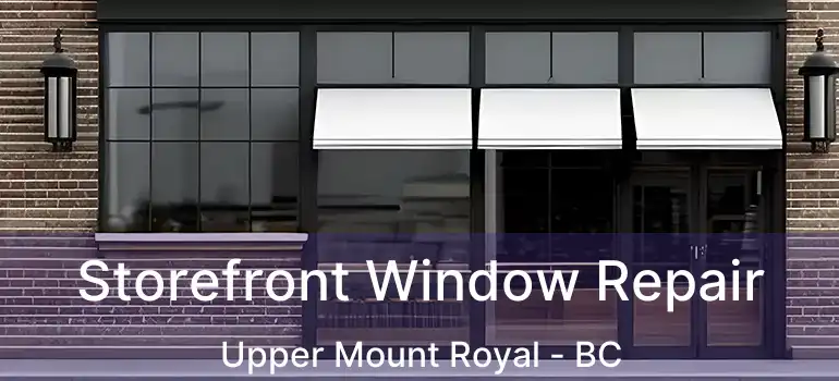  Storefront Window Repair Upper Mount Royal - BC