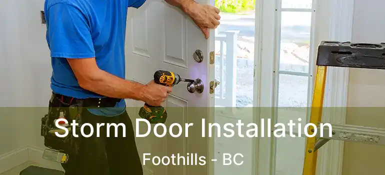  Storm Door Installation Foothills - BC