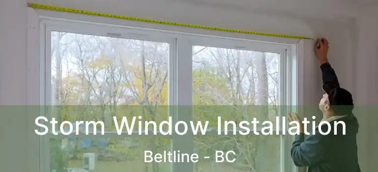  Storm Window Installation Beltline - BC