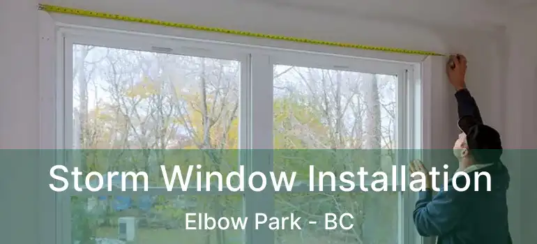  Storm Window Installation Elbow Park - BC