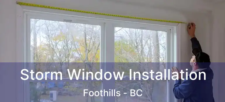  Storm Window Installation Foothills - BC