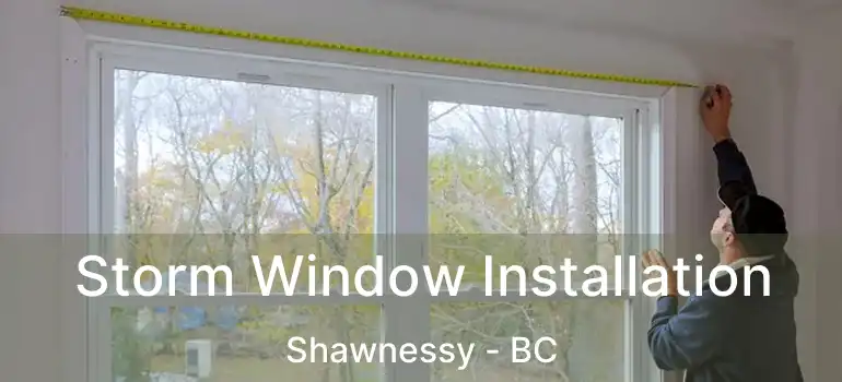  Storm Window Installation Shawnessy - BC