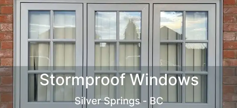  Stormproof Windows Silver Springs - BC
