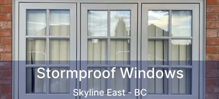  Stormproof Windows Skyline East - BC