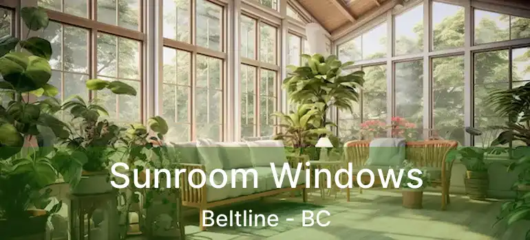  Sunroom Windows Beltline - BC
