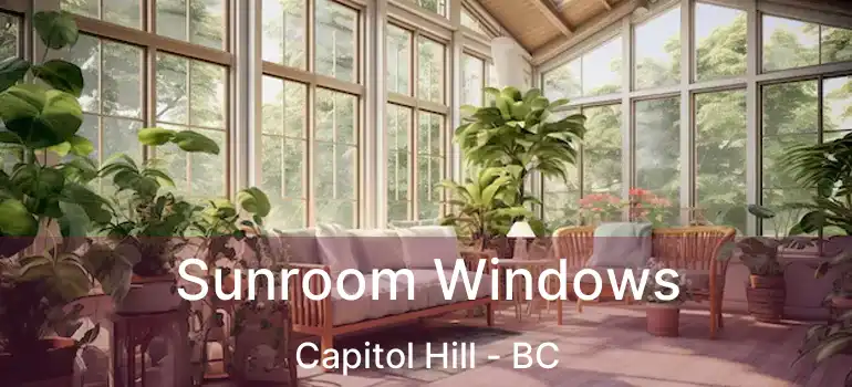  Sunroom Windows Capitol Hill - BC