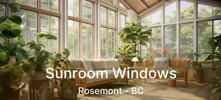  Sunroom Windows Rosemont - BC