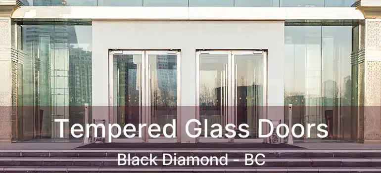  Tempered Glass Doors Black Diamond - BC