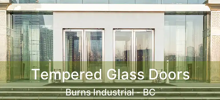  Tempered Glass Doors Burns Industrial - BC