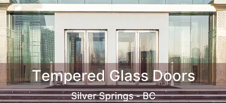  Tempered Glass Doors Silver Springs - BC
