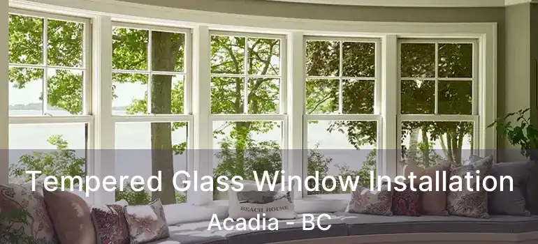  Tempered Glass Window Installation Acadia - BC