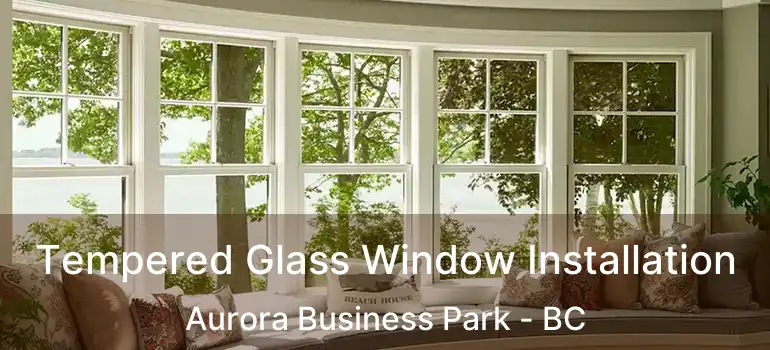  Tempered Glass Window Installation Aurora Business Park - BC