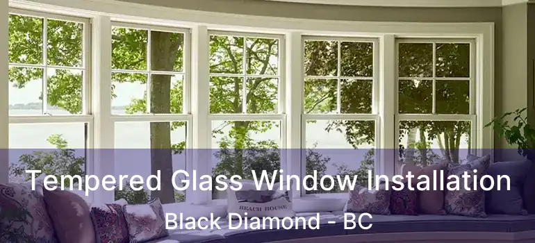  Tempered Glass Window Installation Black Diamond - BC