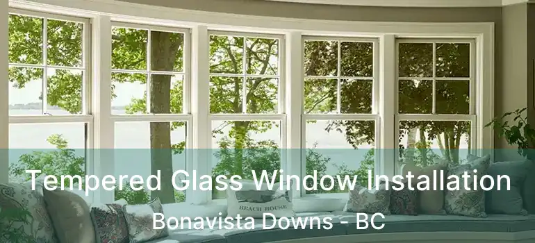  Tempered Glass Window Installation Bonavista Downs - BC