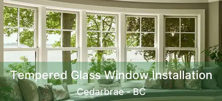 Tempered Glass Window Installation Cedarbrae - BC