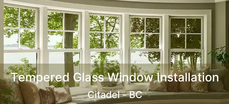  Tempered Glass Window Installation Citadel - BC