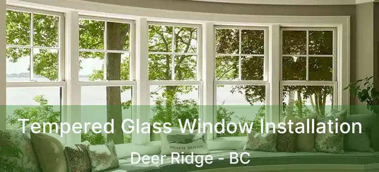  Tempered Glass Window Installation Deer Ridge - BC