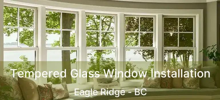  Tempered Glass Window Installation Eagle Ridge - BC