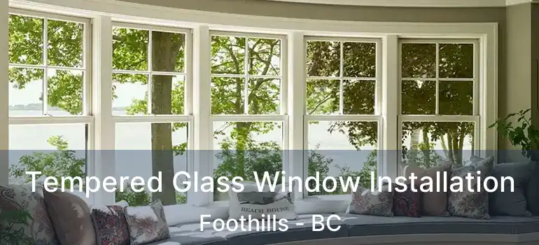  Tempered Glass Window Installation Foothills - BC