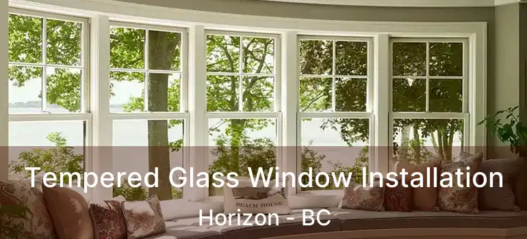  Tempered Glass Window Installation Horizon - BC