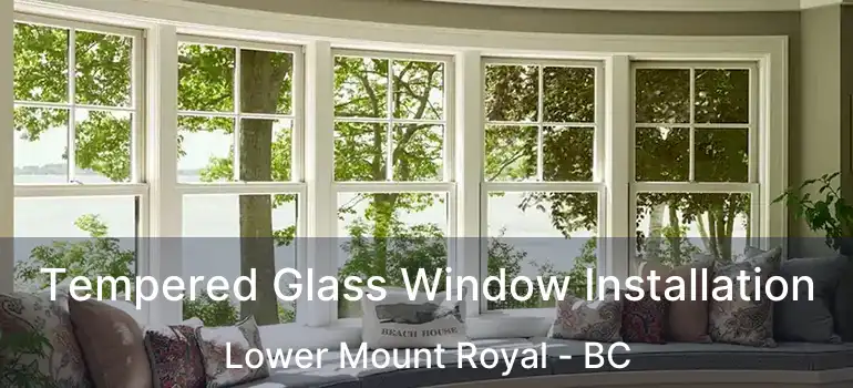  Tempered Glass Window Installation Lower Mount Royal - BC