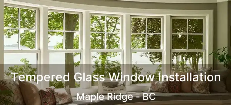  Tempered Glass Window Installation Maple Ridge - BC