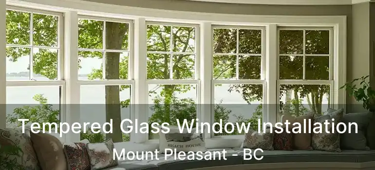  Tempered Glass Window Installation Mount Pleasant - BC