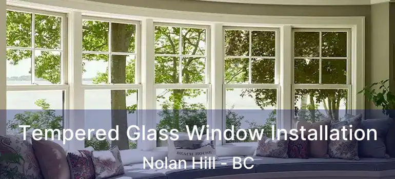  Tempered Glass Window Installation Nolan Hill - BC