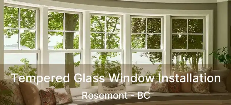  Tempered Glass Window Installation Rosemont - BC