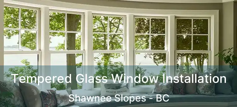  Tempered Glass Window Installation Shawnee Slopes - BC