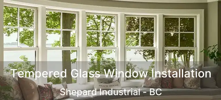  Tempered Glass Window Installation Shepard Industrial - BC