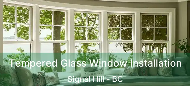  Tempered Glass Window Installation Signal Hill - BC