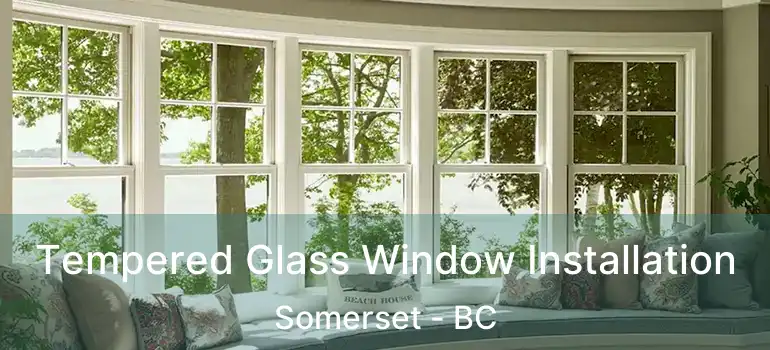 Tempered Glass Window Installation Somerset - BC