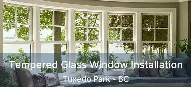  Tempered Glass Window Installation Tuxedo Park - BC