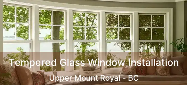  Tempered Glass Window Installation Upper Mount Royal - BC