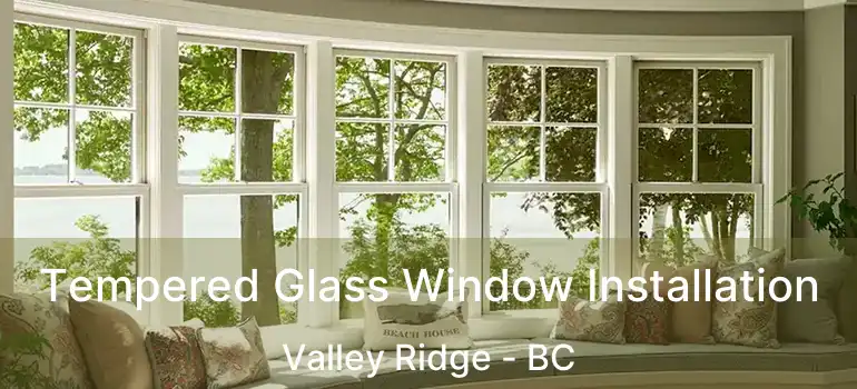  Tempered Glass Window Installation Valley Ridge - BC
