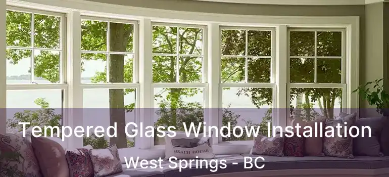  Tempered Glass Window Installation West Springs - BC