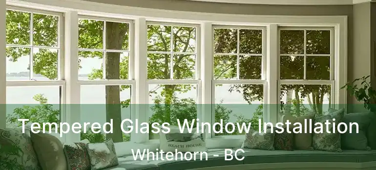  Tempered Glass Window Installation Whitehorn - BC
