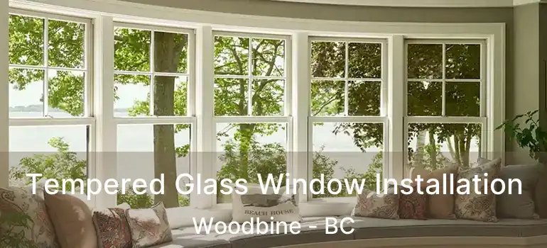  Tempered Glass Window Installation Woodbine - BC