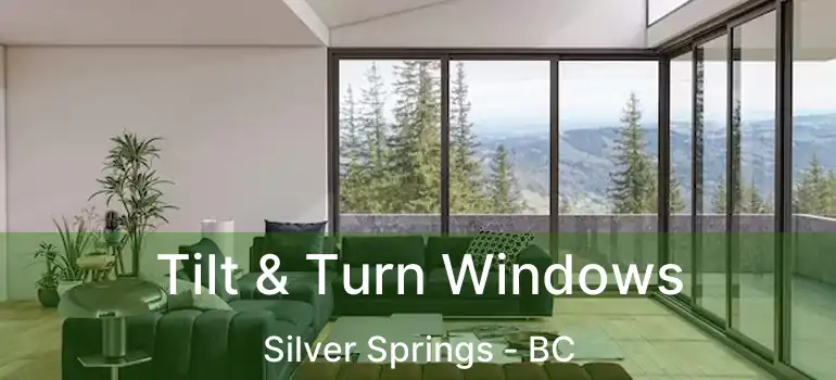  Tilt & Turn Windows Silver Springs - BC