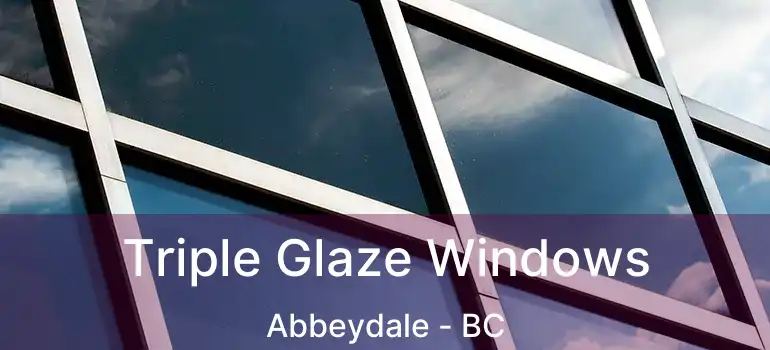  Triple Glaze Windows Abbeydale - BC