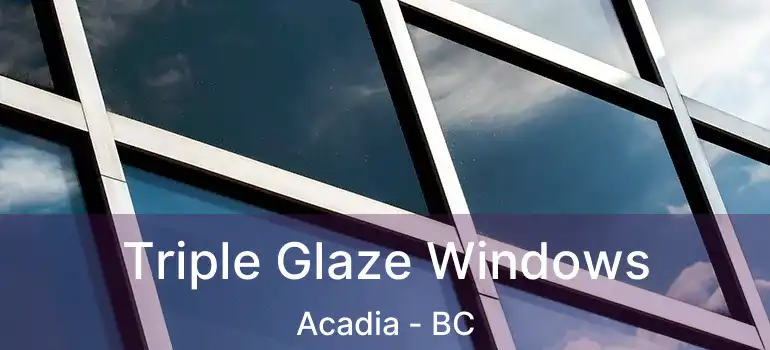  Triple Glaze Windows Acadia - BC