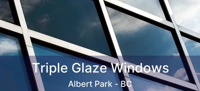  Triple Glaze Windows Albert Park - BC