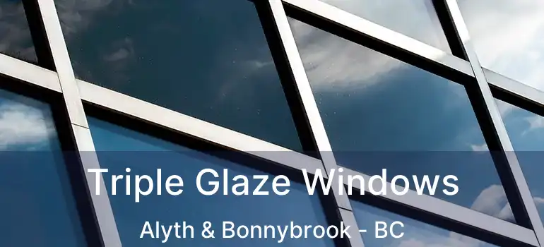  Triple Glaze Windows Alyth & Bonnybrook - BC