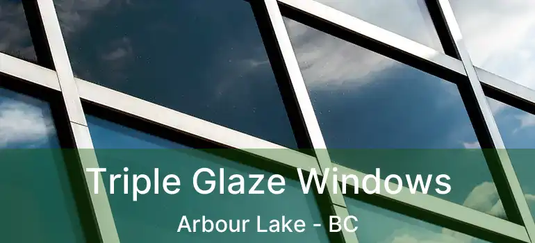  Triple Glaze Windows Arbour Lake - BC