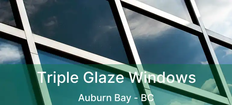  Triple Glaze Windows Auburn Bay - BC