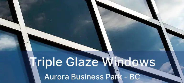  Triple Glaze Windows Aurora Business Park - BC