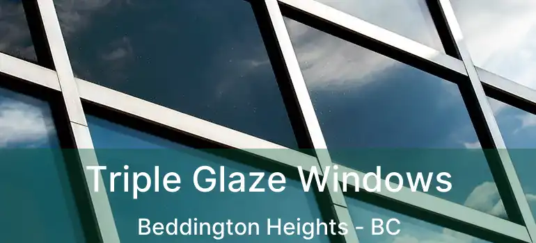 Triple Glaze Windows Beddington Heights - BC