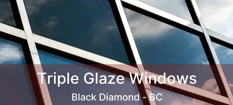  Triple Glaze Windows Black Diamond - BC